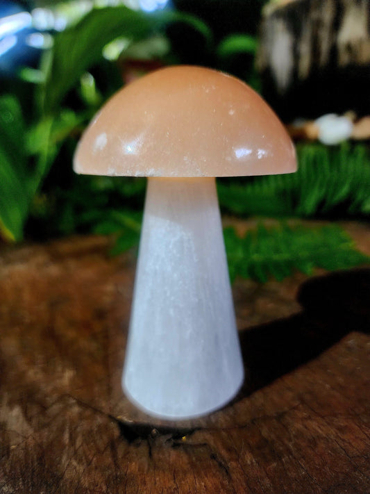 Selenite Mushroom Large Australia
