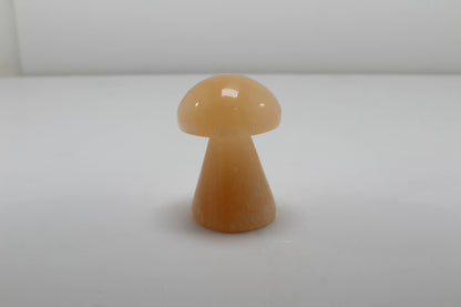Crystals Selenite Mushrooms Orange