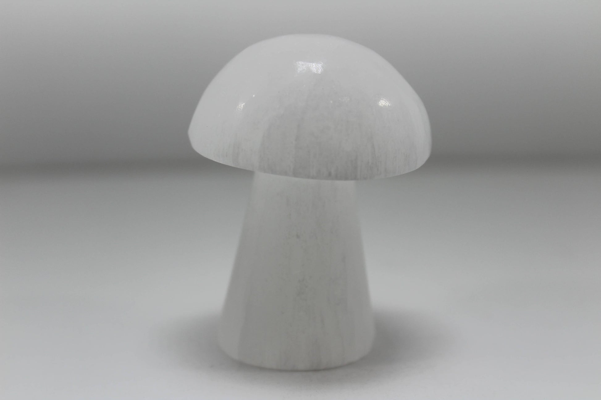 Crystals Selenite Mushrooms White