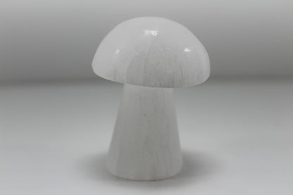 Crystals Selenite Mushrooms White