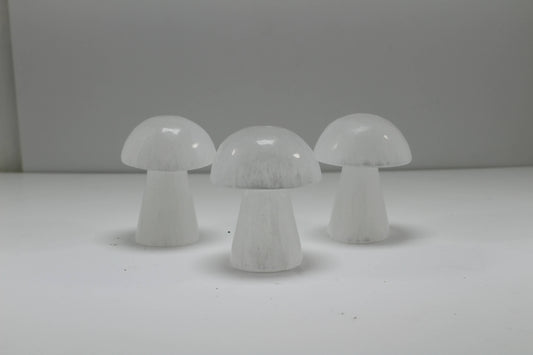 Crystals Selenite Mushrooms White