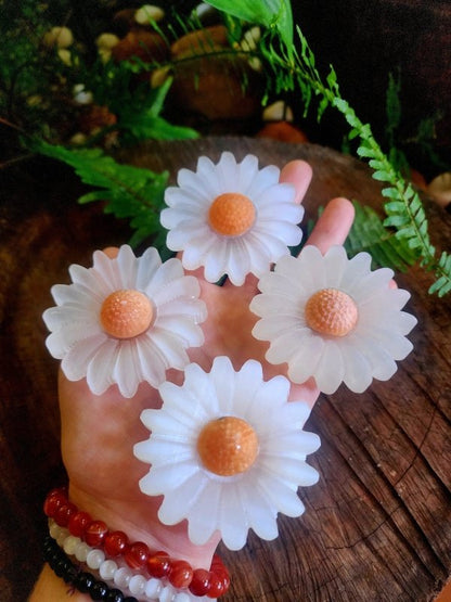 Selenite Sunflower Carving - Cleansing & Recharging - Carving Australia