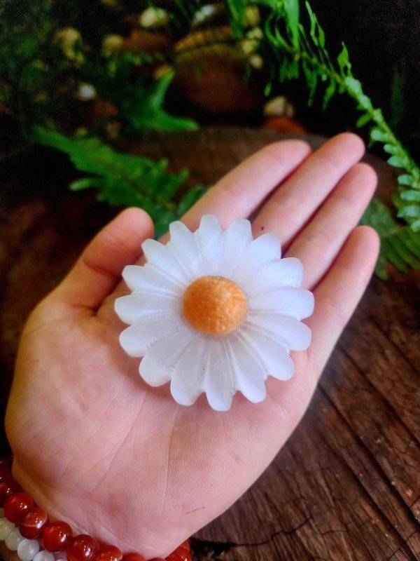 Selenite Sunflower Carving - Cleansing & Recharging - Carving Australia