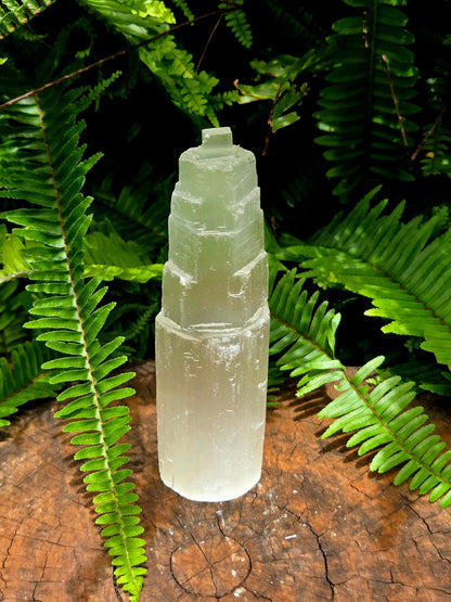 Clear crystal bottle with a green cap on a wooden surface with ferns in the background