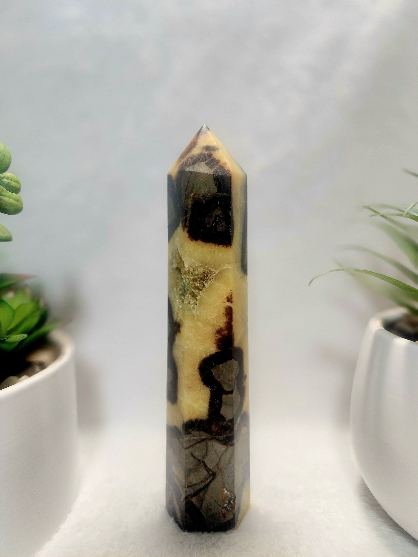 Crystals Septarian Jasper Dragon Stone Tower Point 474g