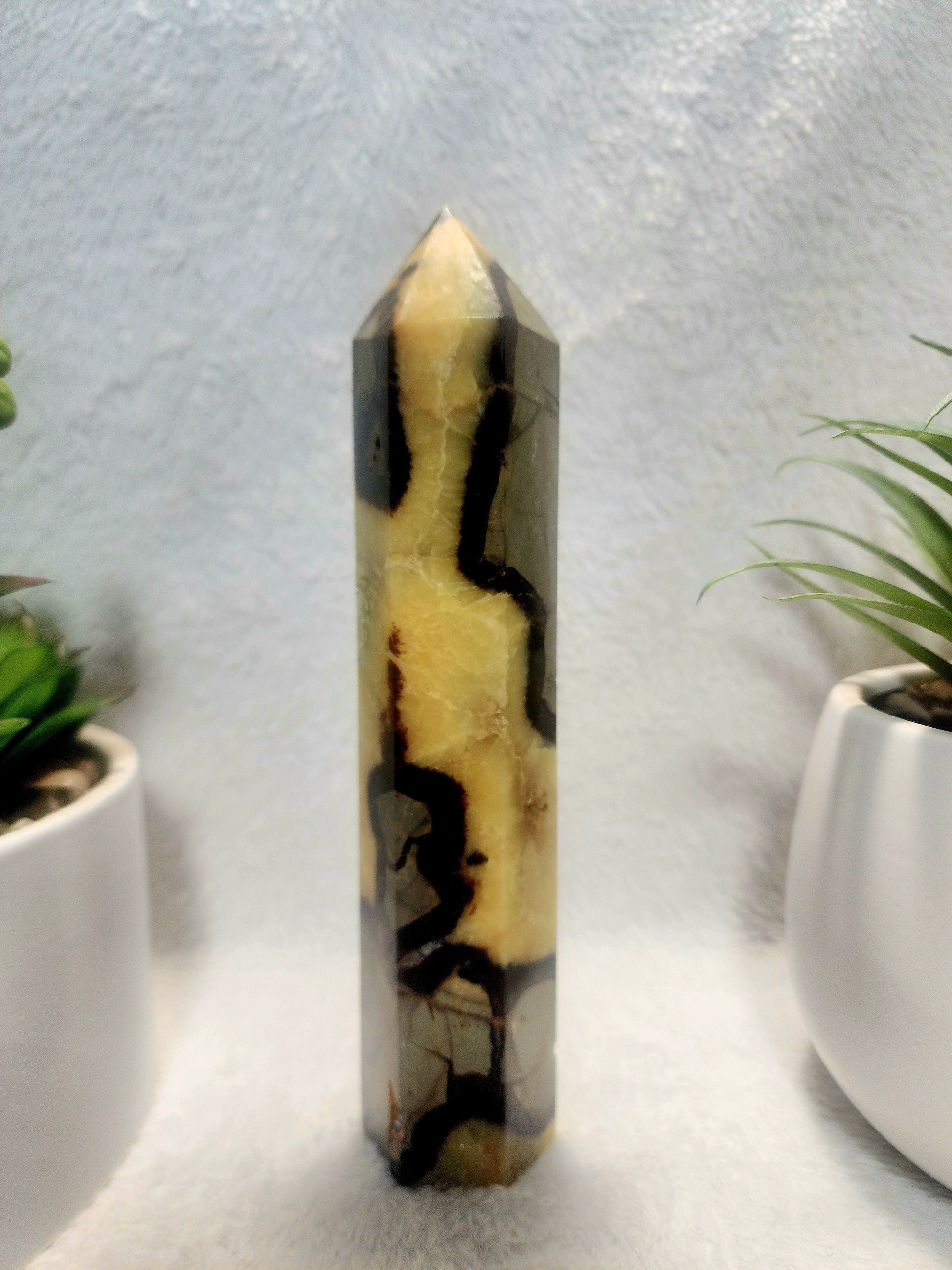 Crystals Septarian Jasper Dragon Stone Tower Point 474g