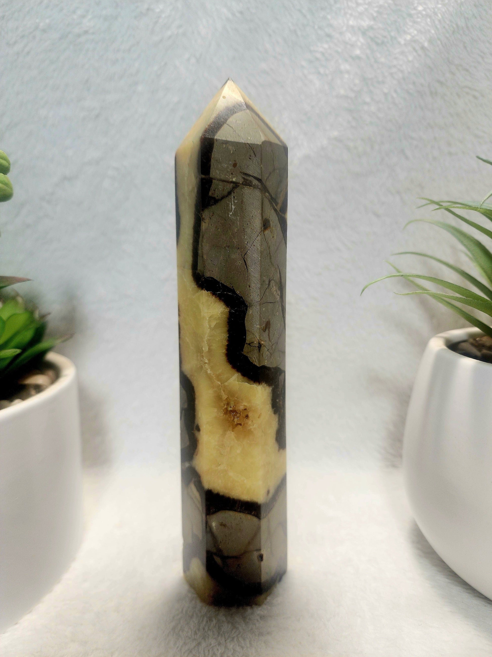 Crystals Septarian Jasper Dragon Stone Tower Point 474g