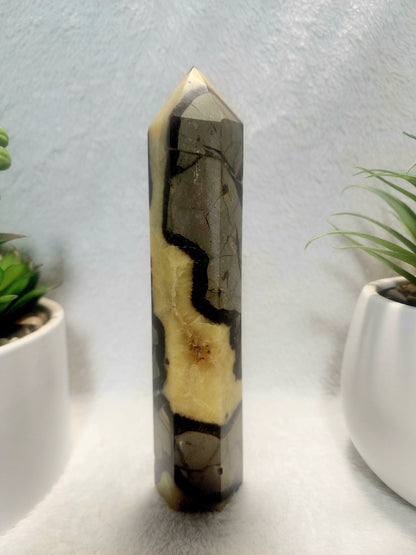 Crystals Septarian Jasper Dragon Stone Tower Point 474g