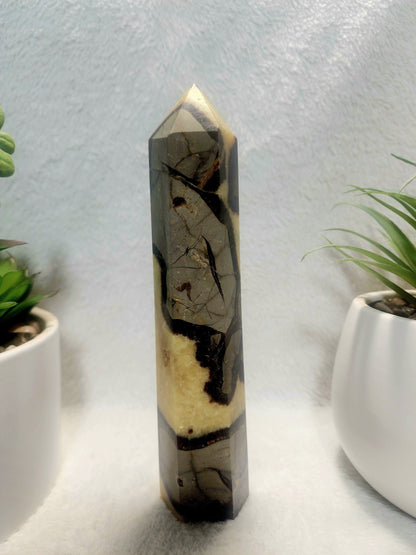 Crystals Septarian Jasper Dragon Stone Tower Point 474g
