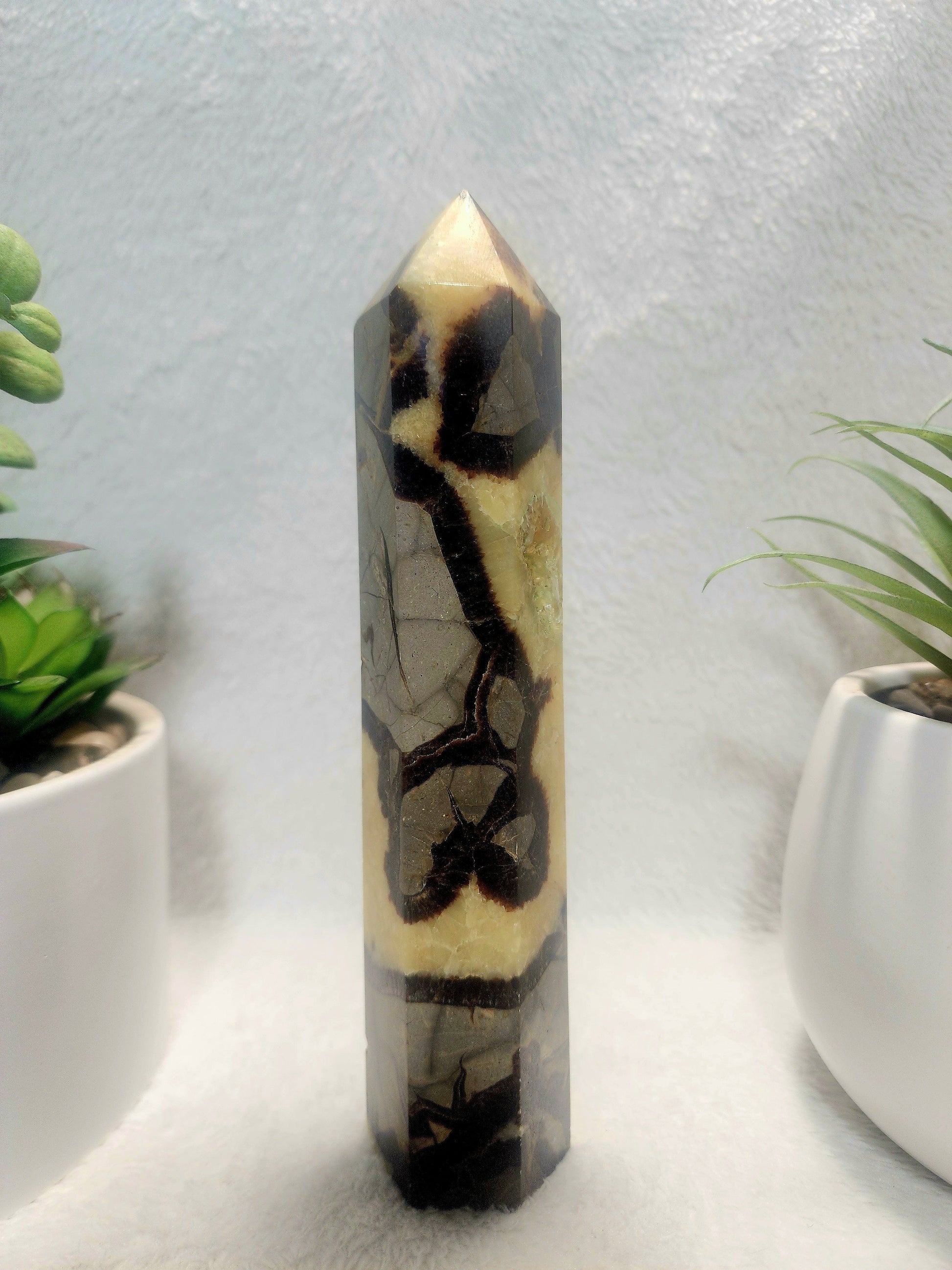 Crystals Septarian Jasper Dragon Stone Tower Point 474g