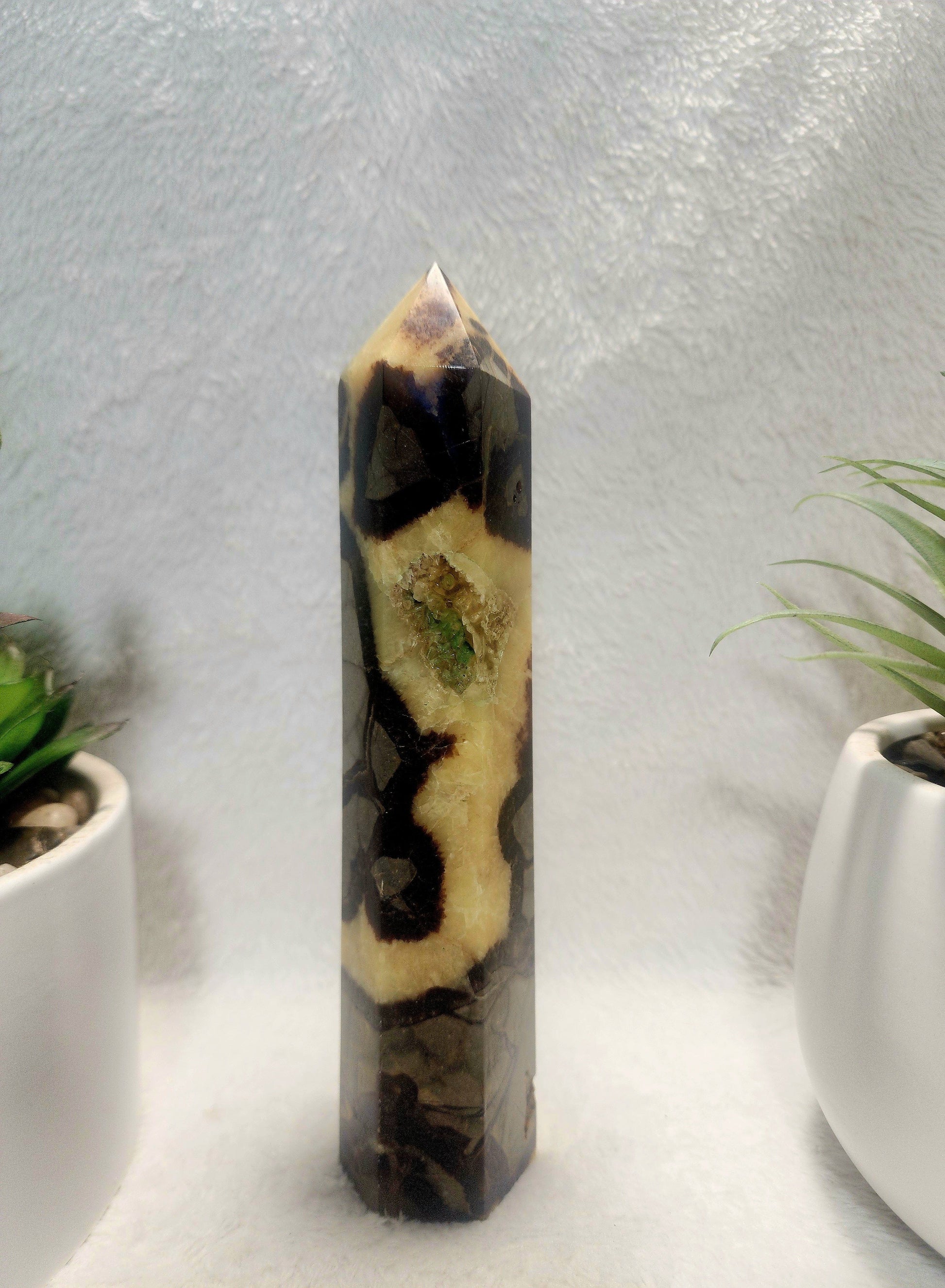 Crystals Septarian Jasper Dragon Stone Tower Point 474g