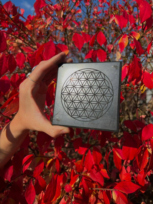 Crystals Shungite Square Tile Engraved Flower of Life 10cm Australia