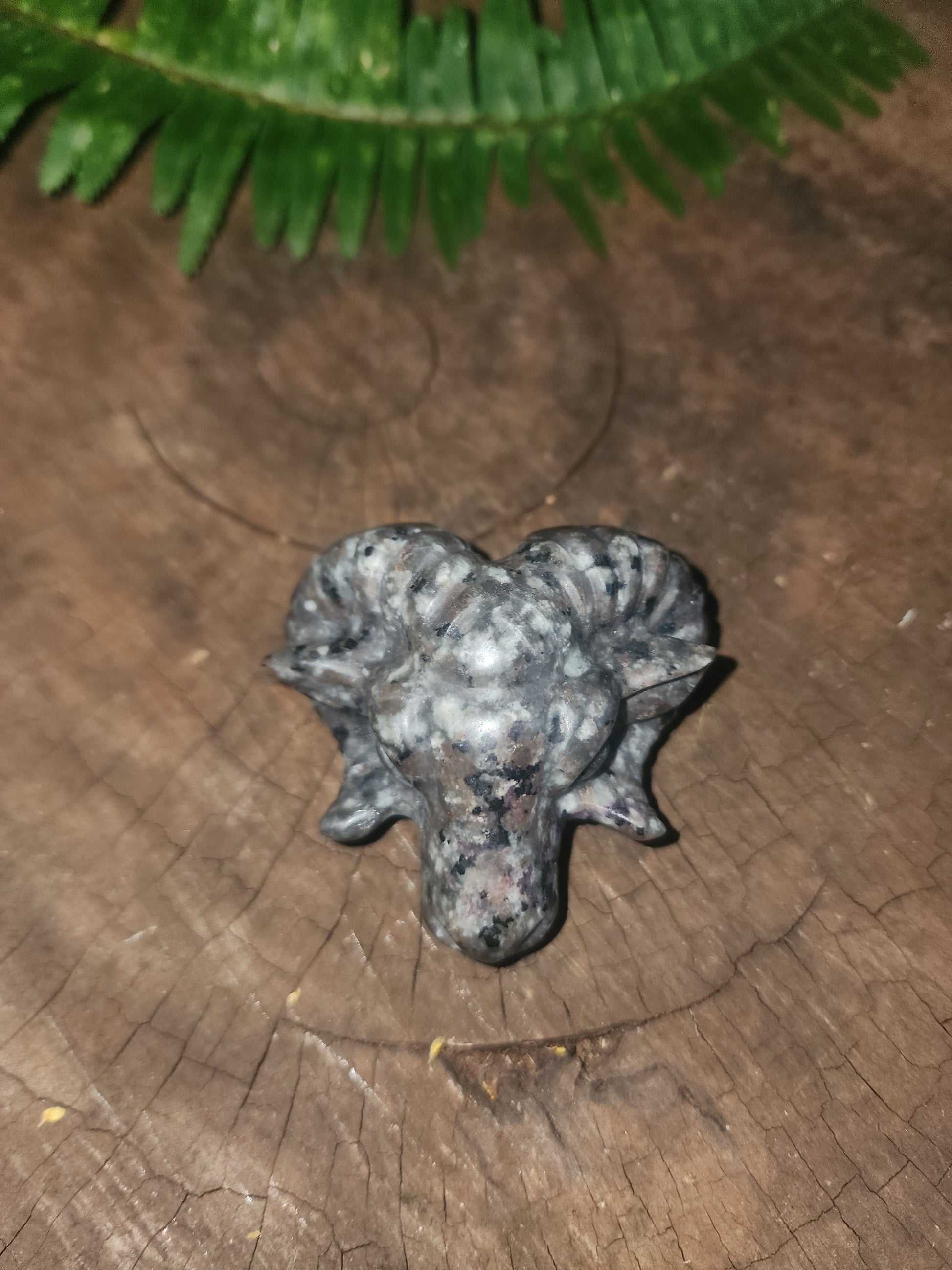 Crystals Yooperlite Ram Carving