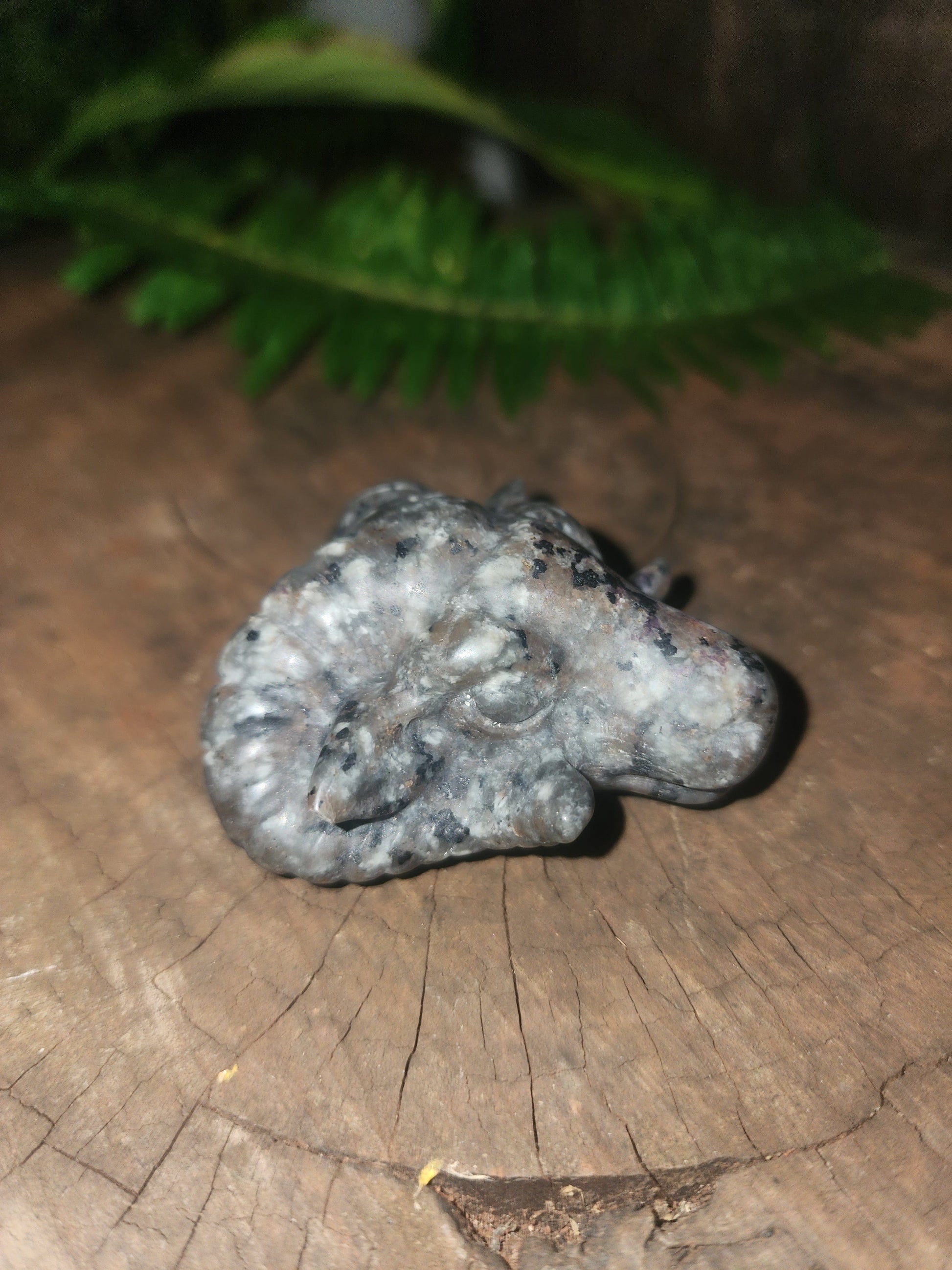 Crystals Yooperlite Ram Carving