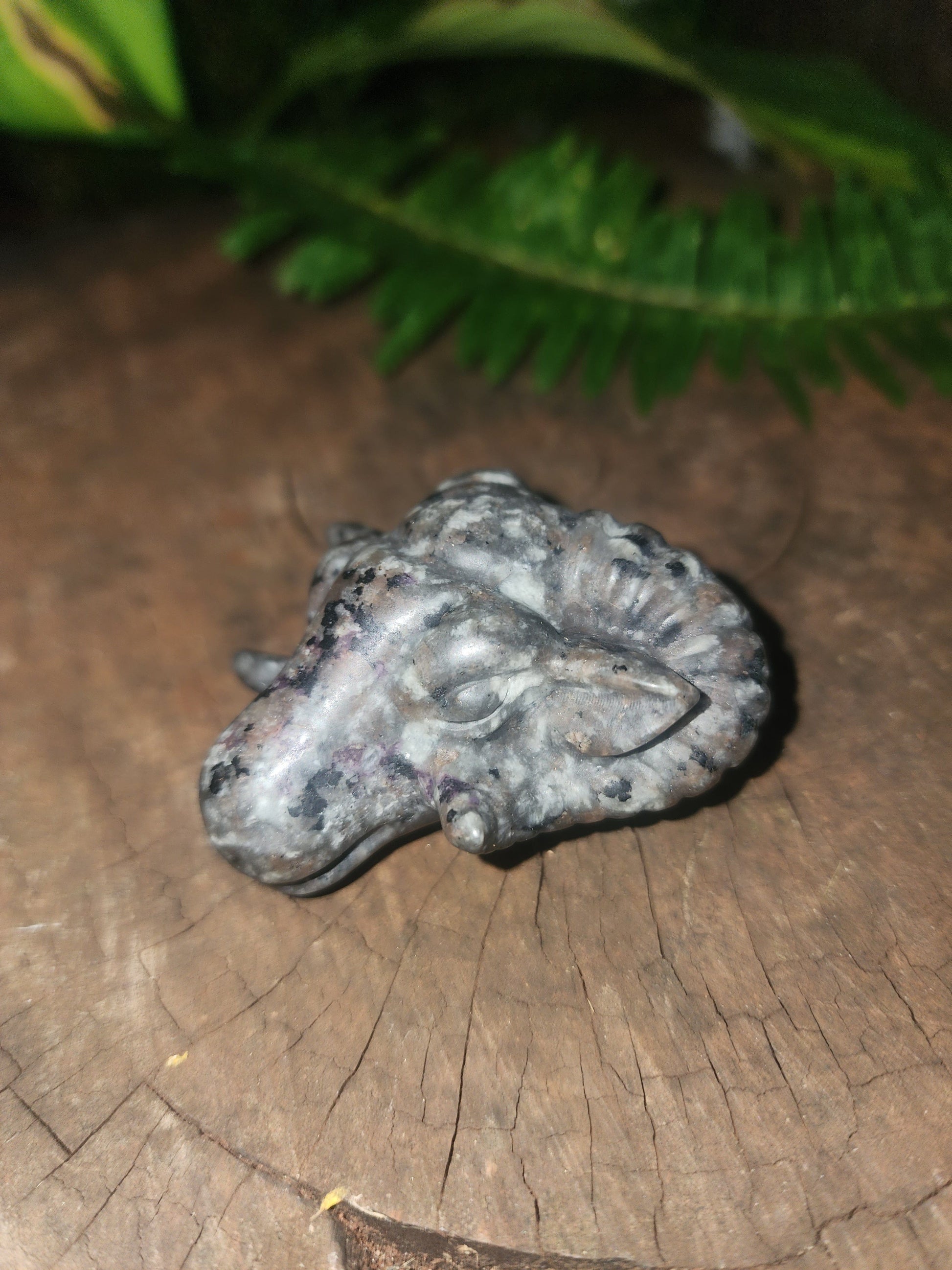 Crystals Yooperlite Ram Carving